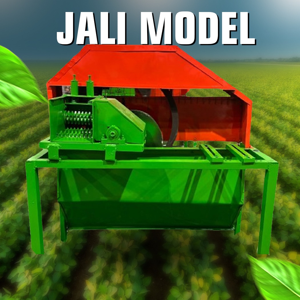 Doctor Model Jali Model